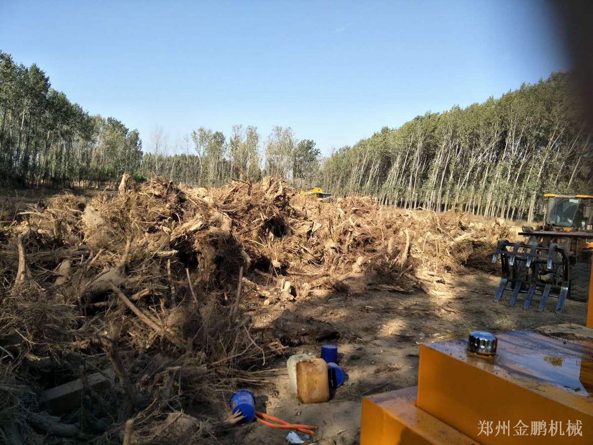 郑州金鹏大型废木材粉碎机在生物质料场连续作业中的选型参考