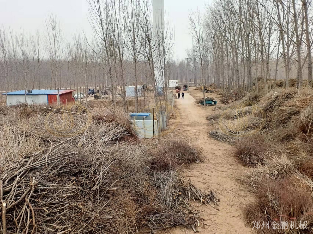 郑州金鹏废木头破碎机在生物质燃料预处理中的现场应用