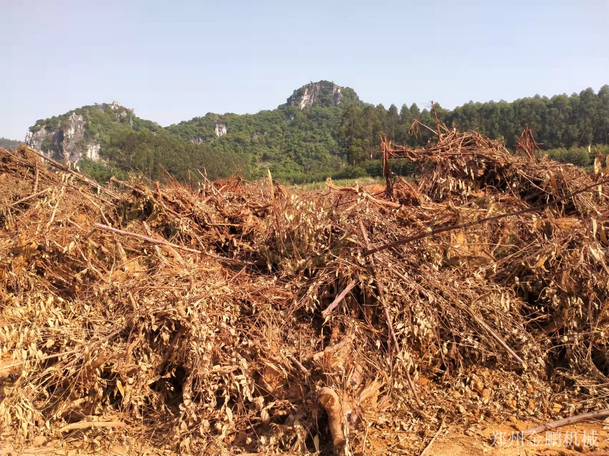 郑州金鹏打树根机器现场进料出料流程与设备配置